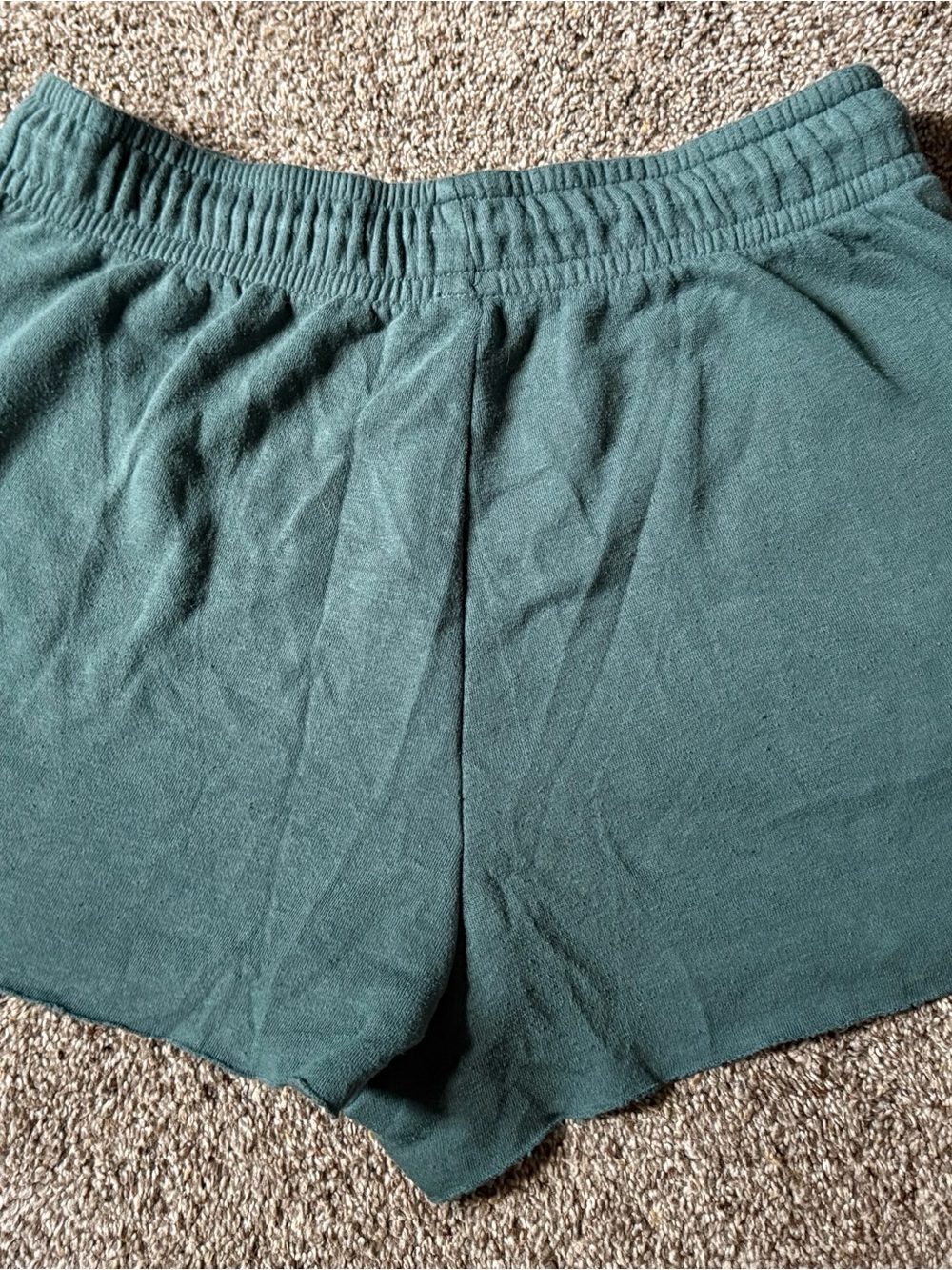 Wild Fable Dark Teal Lounge Shorts - Picture 2 of 3